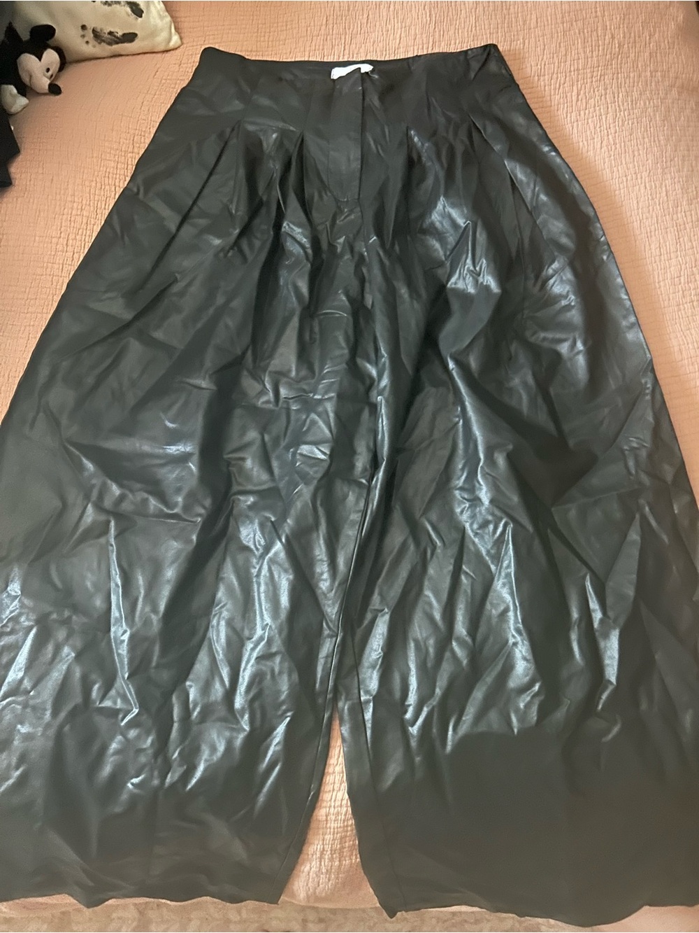 Everleigh brooks wide leg leather pants